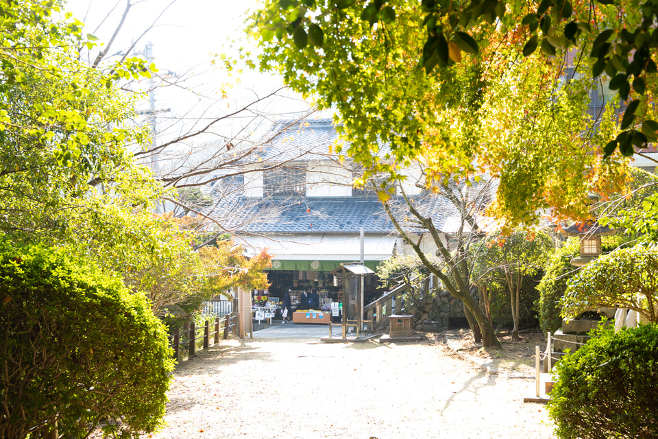 笹屋商店からの入口