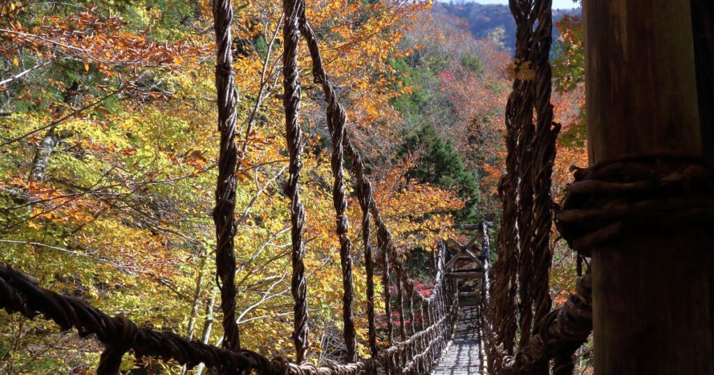 かずら橋　紅葉