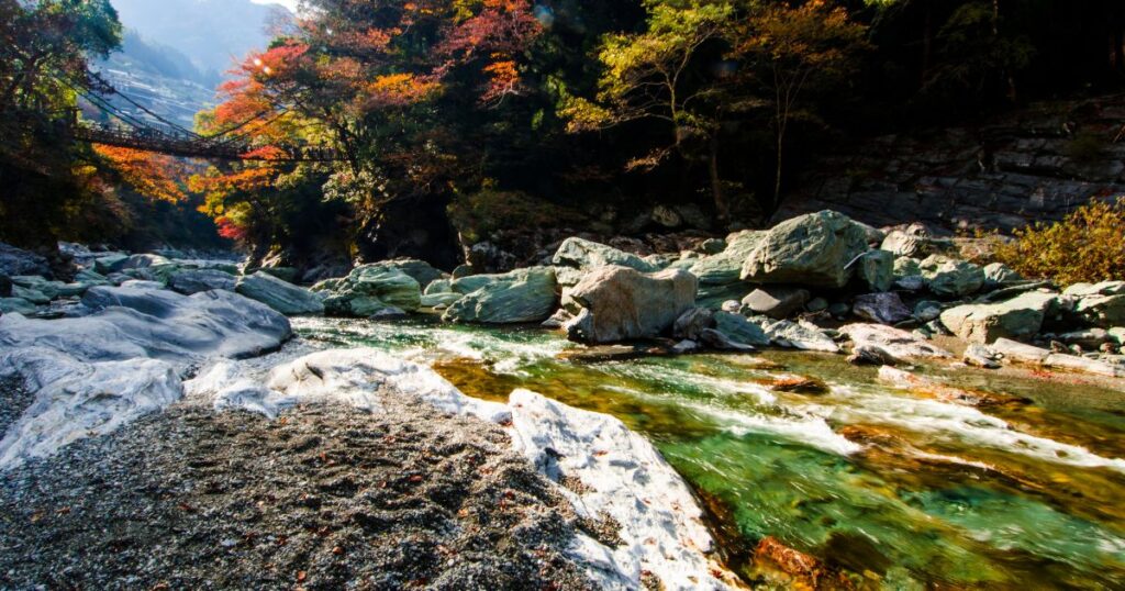 かずら橋　紅葉