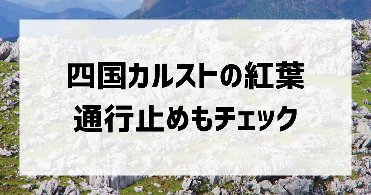 四国カルストの紅葉と通行止めについて