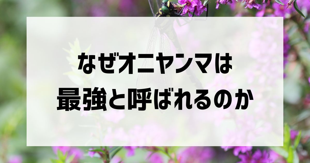 オニヤンマの強さ