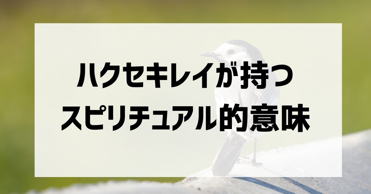 ハクセキレイの意味するスピリチュアルなメッセージ