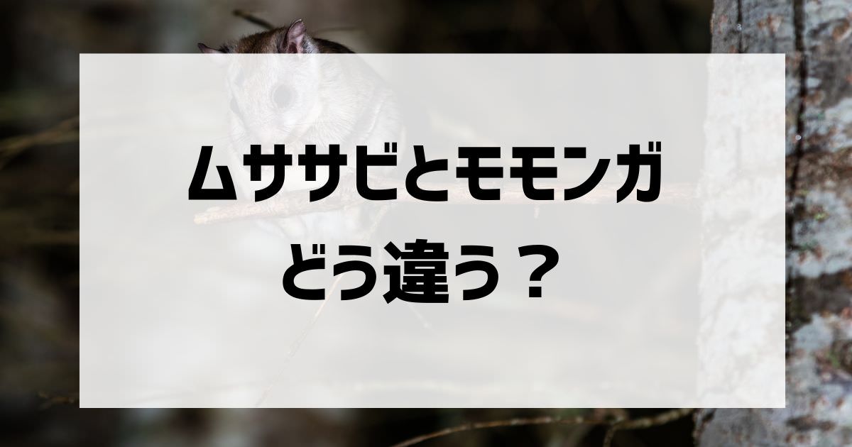 ムササビとモモンガの違い