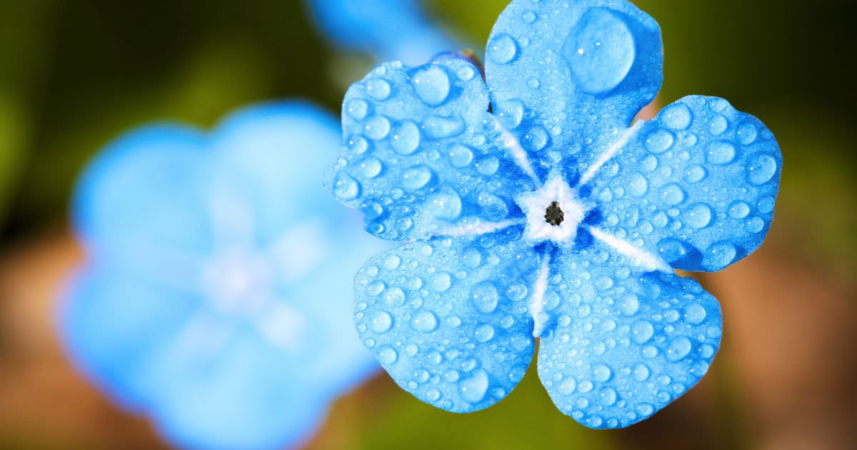 梅雨