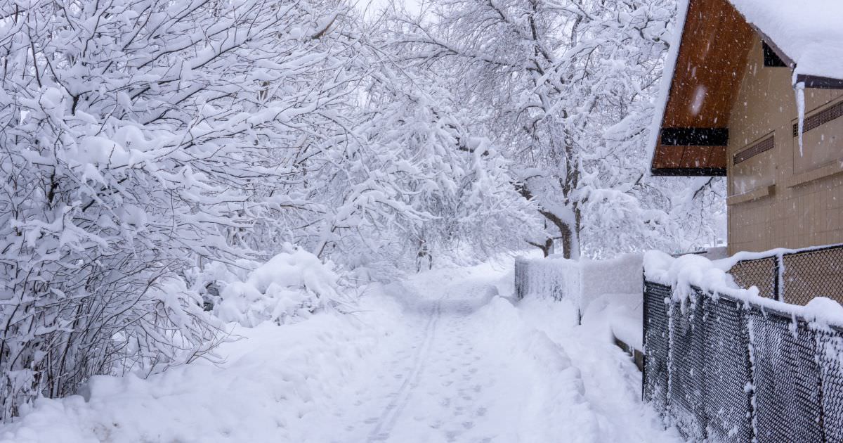 豪雪